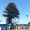 Blue Seal Inn - map