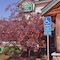 MountainView Lodge & Suites - map
