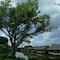 Mekong Riverside Boutique Resort & Spa - map