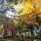 Pettigru Place Bed & Breakfast - map