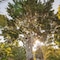 Banyan Tree Sanctuary - map
