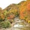 Takaragawa Onsen Osenkaku - map