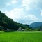 Miyama Futon & Breakfast Thatched Cottages - map