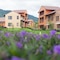 Town Square Suites By Toscana Valley - map