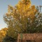 Grand Canyon Bed And Breakfast - map