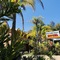 Mollymook Paradise Haven Motel - map
