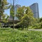 Sheraton Grand Wuhan Hankou Hotel - map