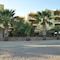 Palm Court Suites - map