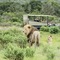 Sibuya Game Reserve - map