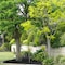 Quality Apartments Banksia Gardens. - map