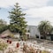 Areca Launceston - map