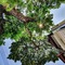 Big Tree Old Town Hotel - map