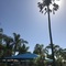 Lani's Holiday Island - Caravan Park - map
