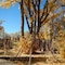 Burch Street Casitas Hotel Taos - map