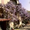 Country Hotel Le Querce - map