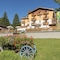 Alpino Family Wellness Hotel - map