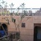 Riad Katia - map