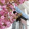 Bridal Tea House Hotel Yantai Laishan - map