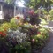 Secret Garden Bed & Breakfast - map