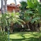 Il Giardino Delle Jacaranda - map