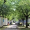 Camping Cisano - map