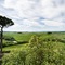 Villa E Fattoria Di Radi - map