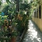 Albergo Residence Villa a Mare - map