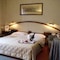 Hotel Alexander Florence - map