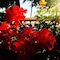 Hotel Lady Mary - map