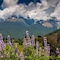 Glenorchy Peaks B&B - map