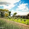 Surval Boutique Olive Estate - map