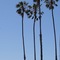 Pacific Crest Hotel Santa Barbara - map