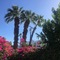 Inn At Palm Springs - map