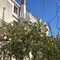 Apartments Ivanka - map