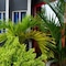 Holland Lodge Paramaribo - map