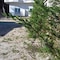 Relax Apartments Saranda - map