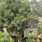 Eco Spring Phu Quoc Villa - map