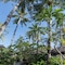 Palm Garden Amed Beach & Spa Resort Bali - map