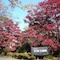 Hotel Laforet Nasu - map