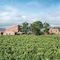 Cavanera Etnea Resort & Wine Experience - map