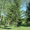 Camping Rio Verde - map