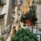 Camere Primavera B&B - map