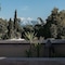 Riad Jaaneman - map