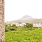Sun Giraffe Taitung B&B - map