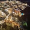Pleasure Beachside Studios - map