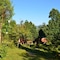 Kalsee Eco Lodge - map