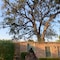 The Tree Of Life Resort & Spa, Varanasi - map