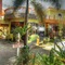 P&M Final Option Beach Resort - map