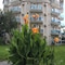 Rios Latte Beach Hotel - map