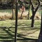 Horseshoe Riverside Lodge - map